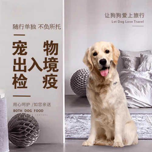 佛山市宠物托运到哥伦比亚猫狗宠物入境规定和