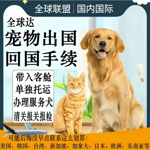 佛山市宠物托运到柬埔寨宠物入境规定和要求