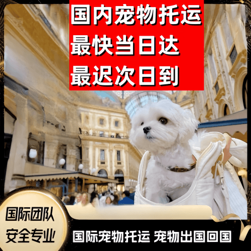 佛山市到澳大利亚（澳洲）宠物入境规定和要求