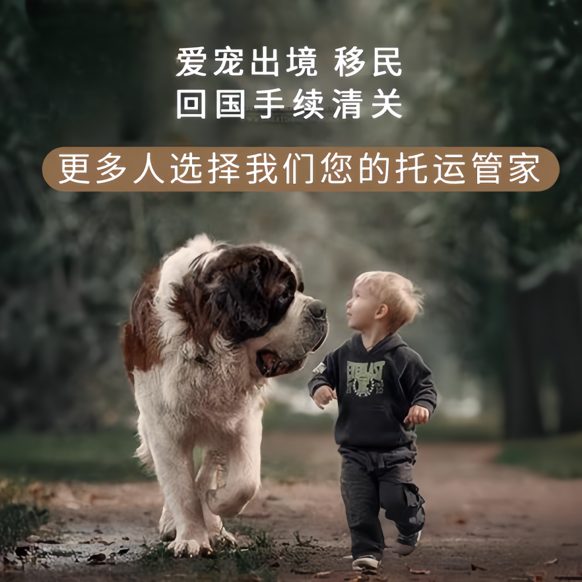满财佛山市宠物全球达宠物托运在遵守入境目的地政策的条件