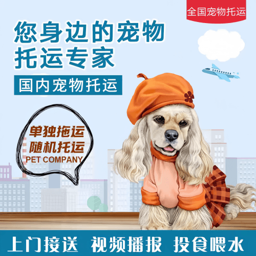 满财佛山市宠物全球达宠物托运作为专业的宠物运输代理机构